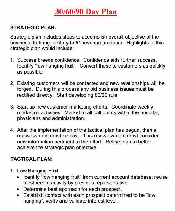 30 Day Action Plan Template New 14 Sample 30 60 90 Day Plan Templates Word Pdf
