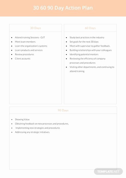 90 Day Action Plan Template Unique 30 60 90 Day Plan Template In Microsoft Word