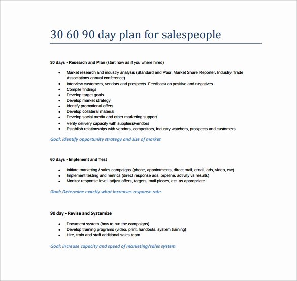 90 Day Business Plan Template Fresh 14 Sample 30 60 90 Day Plan Templates Word Pdf
