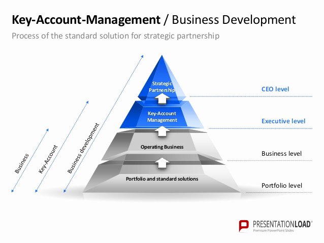 Account Plan Template Ppt Elegant Account Management Model Business Plan