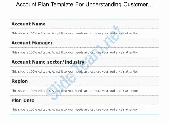 Account Plan Template Ppt Elegant Strategic Account Plan Powerpoint Slide Deck