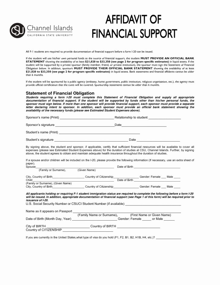 Affidavit Of Support Template Letter Elegant Letter Affidavit Sample for Immigration Support