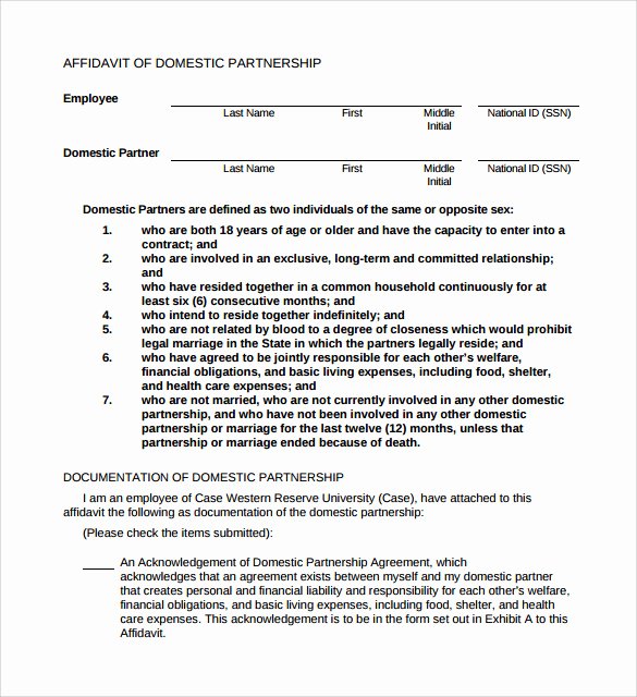 Affiliate Partnership Agreement Template Luxury Sample Domestic Partnership Agreement 11 Free Documents