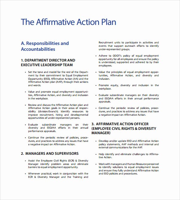 Affirmative Action Plan Template Inspirational Affirmative Action Plan Template 9 Download Documents