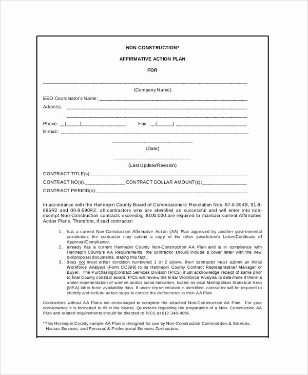Affirmative Action Plan Template New 46 Sample Action Plans