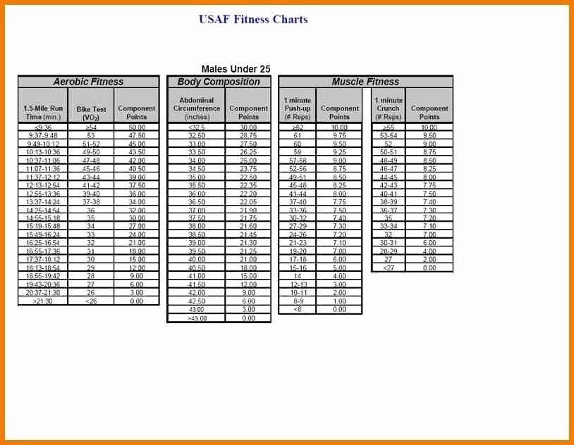 Army Pt Plan Template Luxury Pt Test Chart