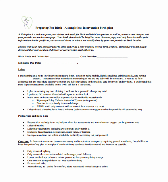 Birth Plan Template Pdf Awesome Birth Plan Template 4 Free Pdf Documents Download
