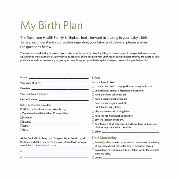 birth plan template