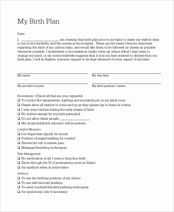 Birth Plan Template Pdf Best Of Birth Plan Example 11 Samples In Word Pdf