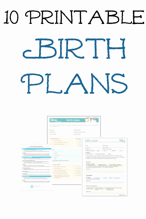Birth Plan Template Pdf Elegant 10 Free Printable Pregnancy Birth Plans &amp; Hospital Bag