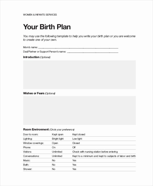 Birth Plan Template Pdf Lovely Birth Plan Template 9 Free Word Pdf Documents Download