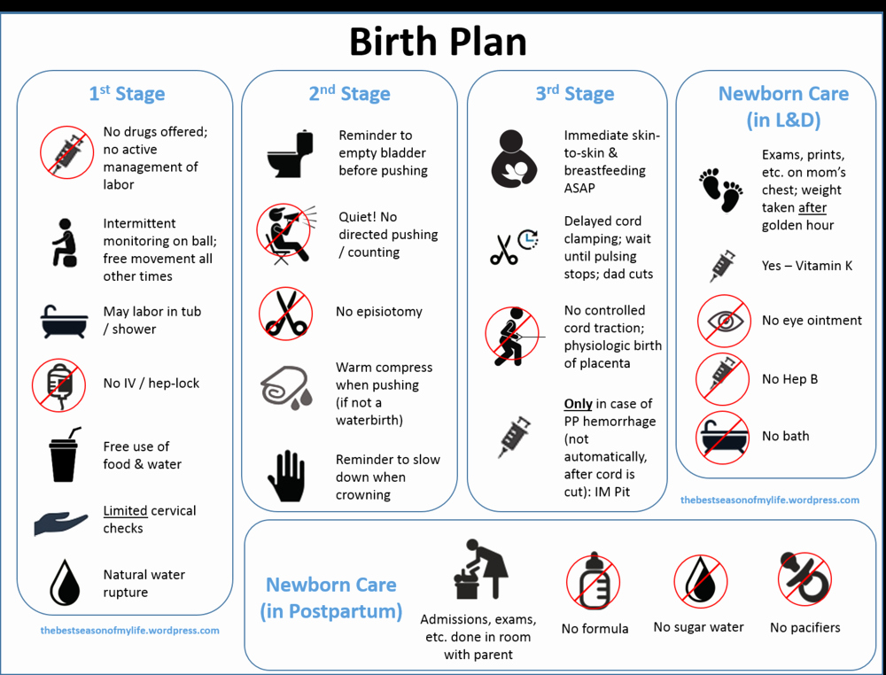 Birth Plan Template Pdf Unique New Birth Plan Template — Abby Block Cd Dona Cbc