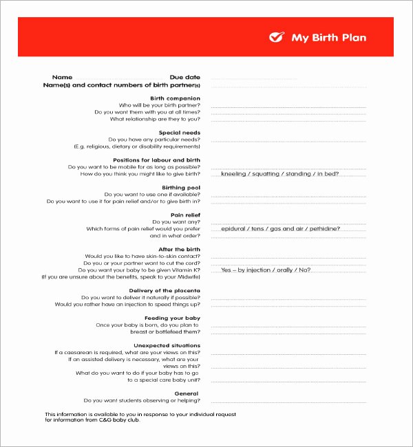 Birth Plan Template Word Doc Awesome Birth Plan Template 20 Download Free Documents In Pdf Word