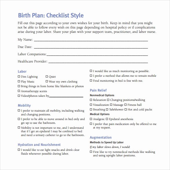 Birth Plan Template Word Doc Inspirational 23 Sample Birth Plan Templates Pdf Word Apple Pages