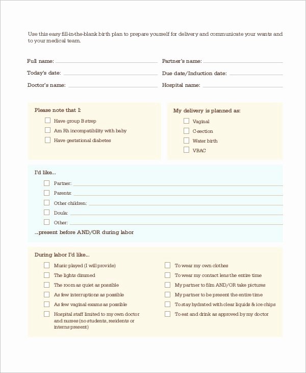 Birth Plan Template Word Doc Luxury Sample Birth Plan form Template Worksheet