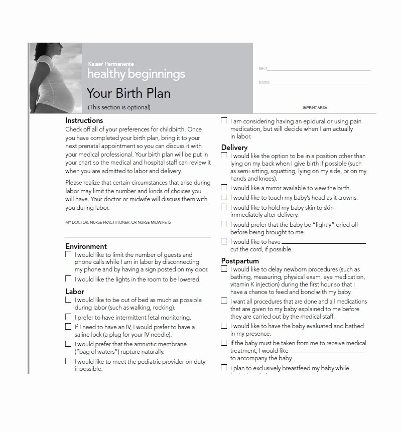 Birth Plan Template Word Doc New 47 Printable Birth Plan Templates [birth Plan Checklist