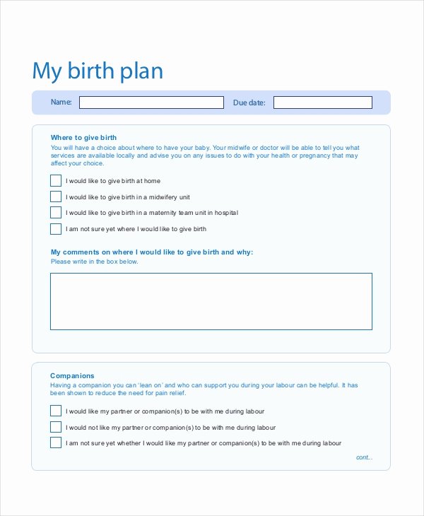 Birth Plan Template Word Doc New Birth Plan Template 9 Free Word Pdf Documents Download