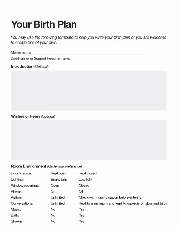 Birth Plan Template Word Doc Unique Birth Plan Template 20 Download Free Documents In Pdf Word