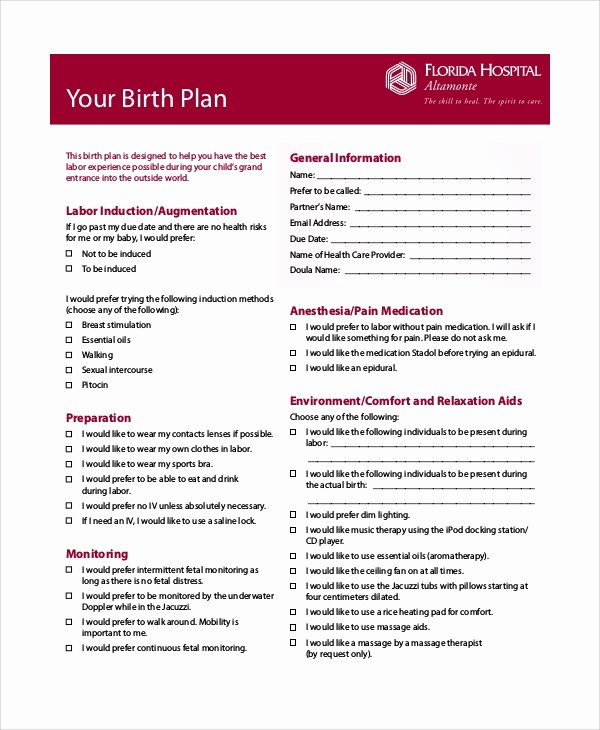 Birth Plan Template Word Inspirational 10 Birth Plan Examples