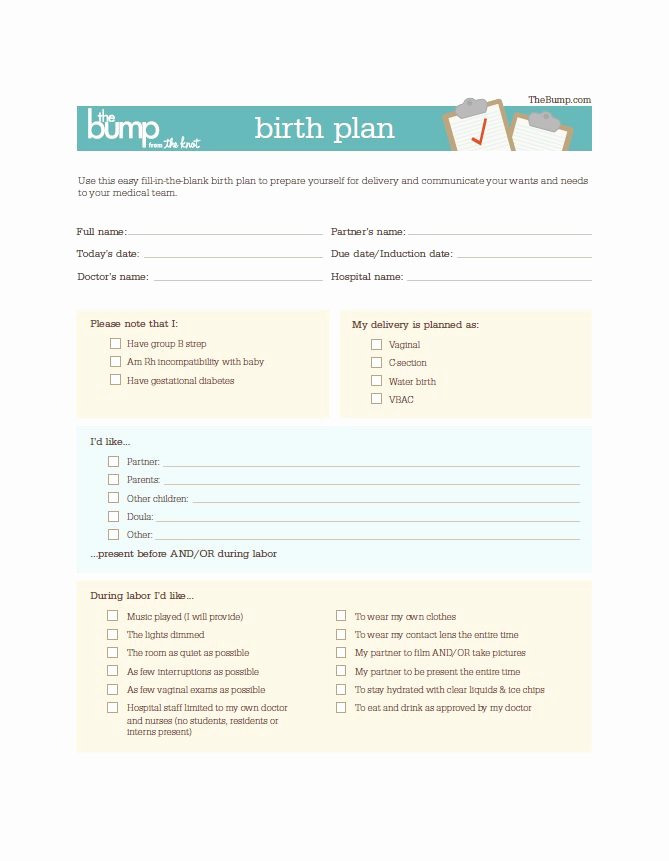 Birth Plan Template Word Inspirational 47 Printable Birth Plan Templates [birth Plan Checklist