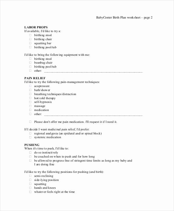Birth Plan Template Word Unique Birth Plan Template 17 Free Word Pdf Documents