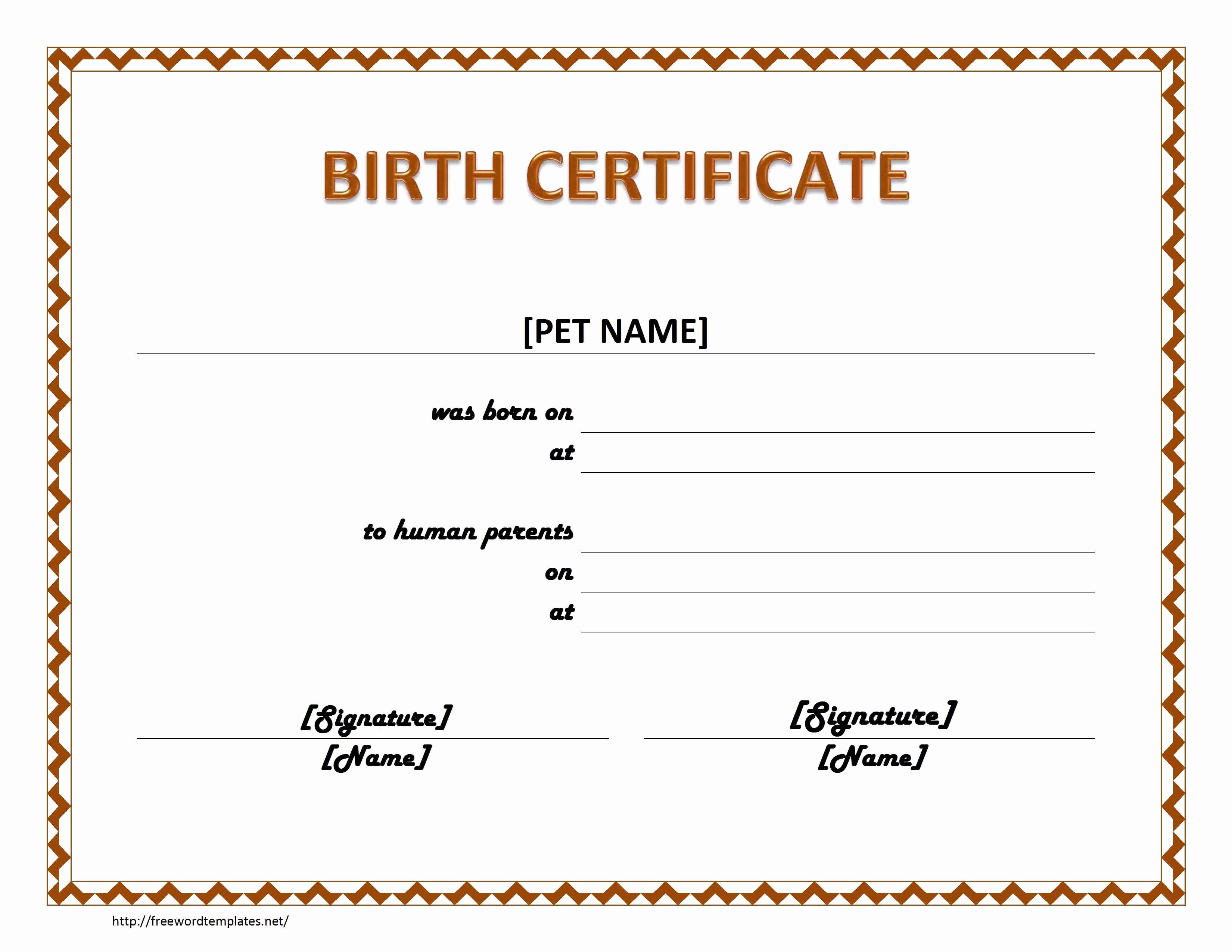 Build A Bear Birth Certificate Template Fresh Line Birth Certificate Maker Portablegasgrillweber