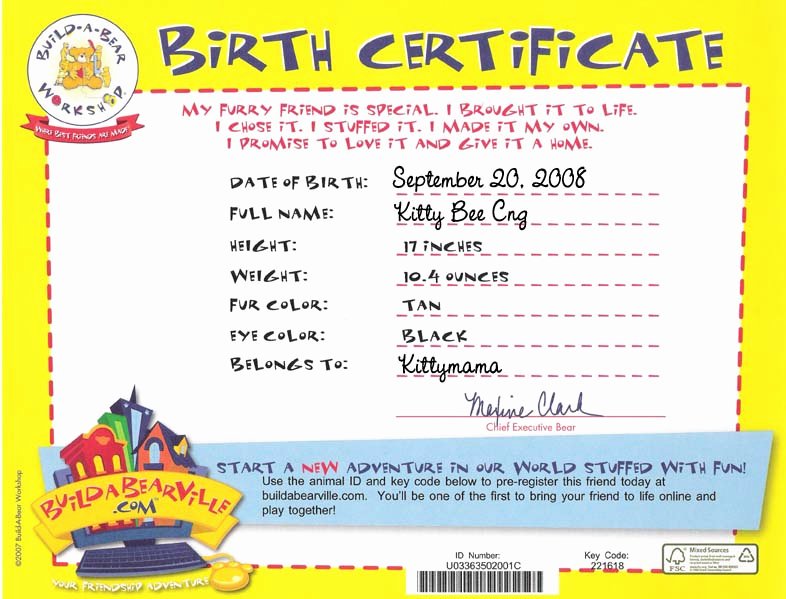 Build A Bear Birth Certificate Template Lovely Kitty Kitty Bo Bitty