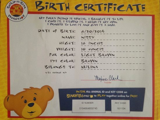Build A Bear Birth Certificate Template Luxury New Build A Bear Birth Certificate