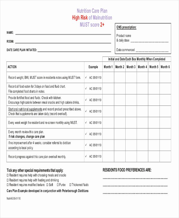 Care Plan Template Pdf Best Of Care Plan Template 15 Pdf Word format Download