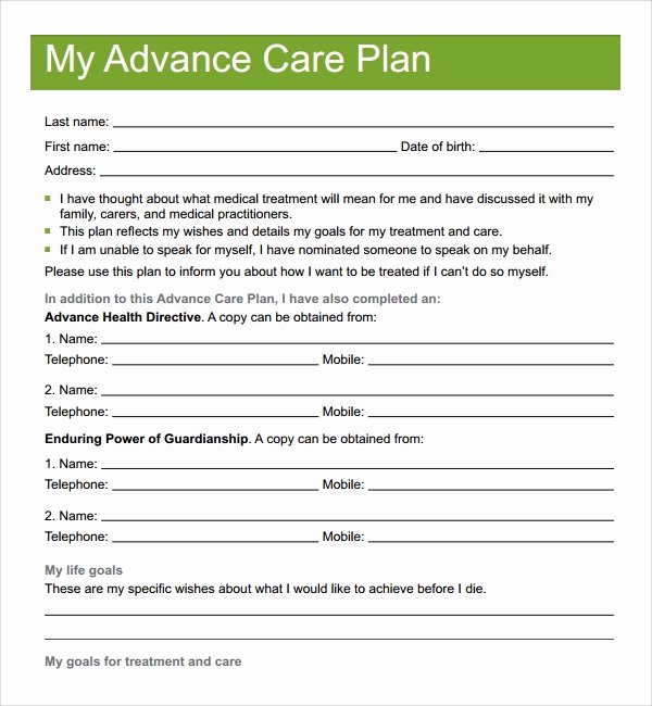 Care Plan Template Pdf Elegant 12 Care Plan Templates