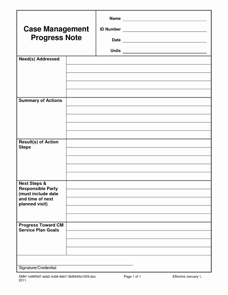 Case Management Plan Template Best Of Case Notes Template