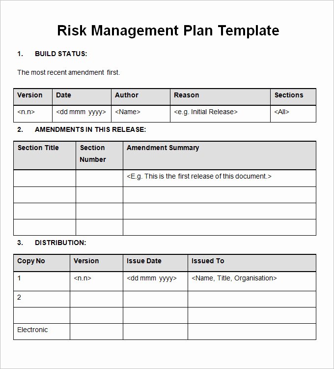 Case Management Plan Template Elegant Importance Of Having A Risk Management Plan