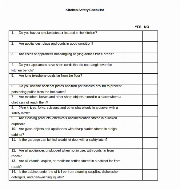 Check Template for Word Elegant 34 Word Checklist Templates