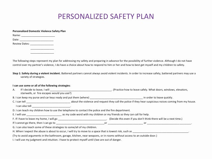 Child Safety Plan Template Best Of Risk assessment Safety Plans 101