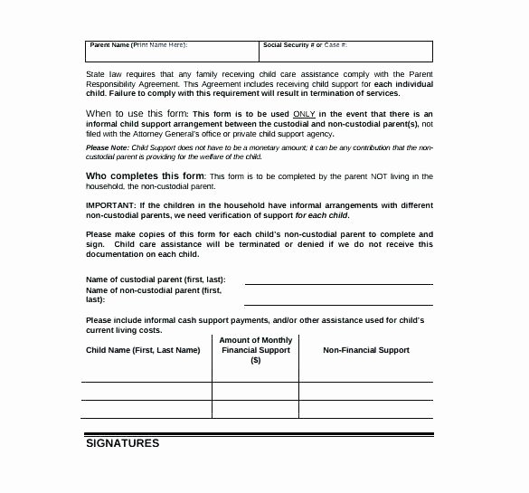 Child Support Receipt Template Lovely It Support Contract Template – Hocufo