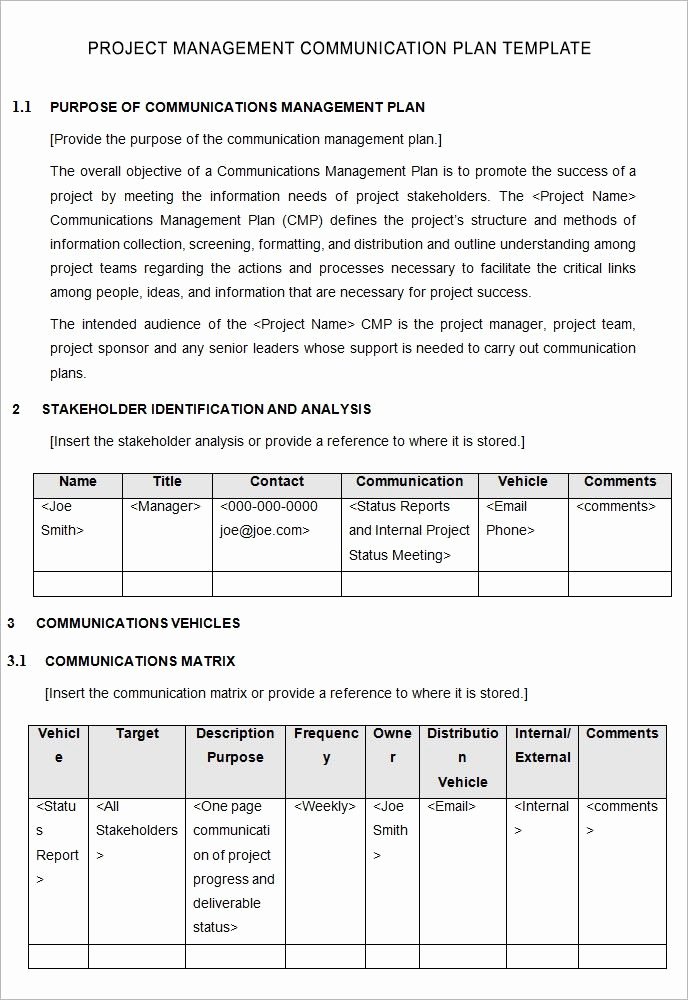 Communications Plan Template Word Awesome Project Management Template Project Management