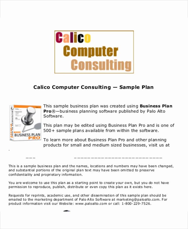 Consulting Business Plan Template New 13 Consulting Business Plan Templates Free Word Pdf