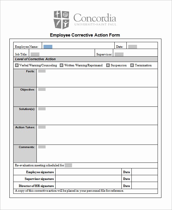 Corrective Action Plan Template Healthcare Awesome Project Action Plan Template Excel Microsoft Excel