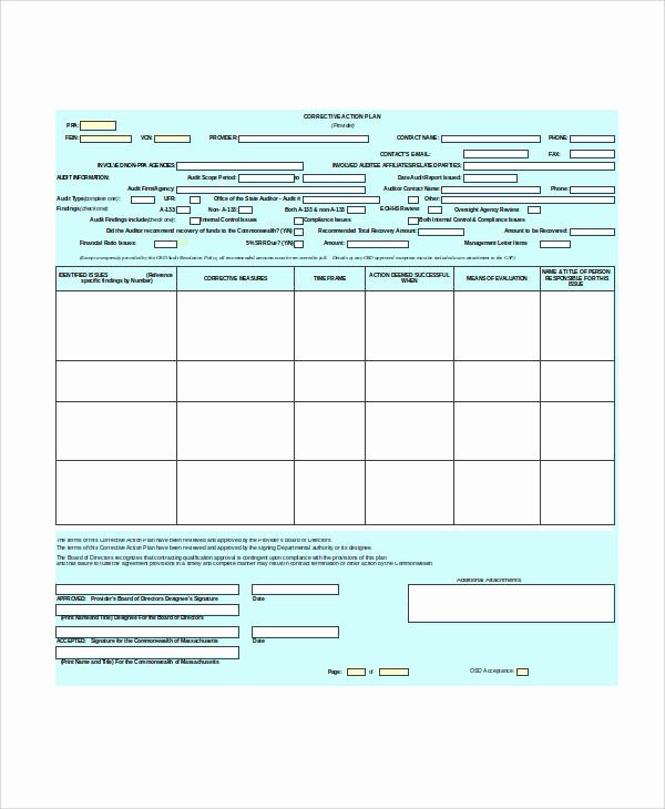 Corrective Action Plan Template Healthcare Luxury 30 Action Plan format Samples