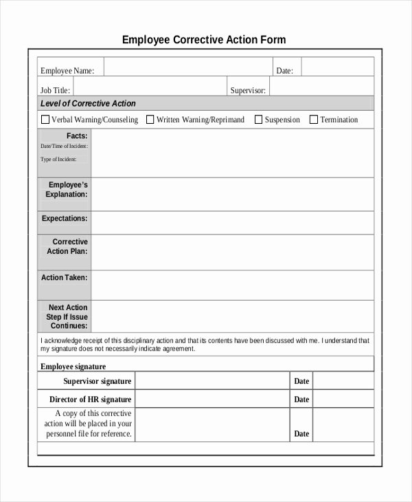 Corrective Action Plan Template Lovely Sample Corrective Action form 10 Free Documents In Doc Pdf