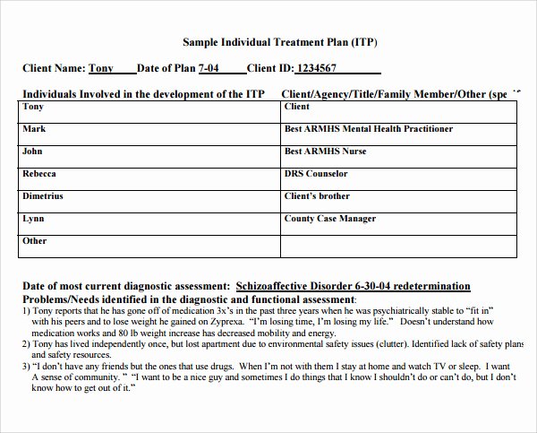 Counseling Treatment Plan Template Luxury Treatment Plan Template