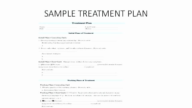 Counseling Treatment Plan Template Pdf Lovely therapist Treatment Plan Mpla Counseling School form