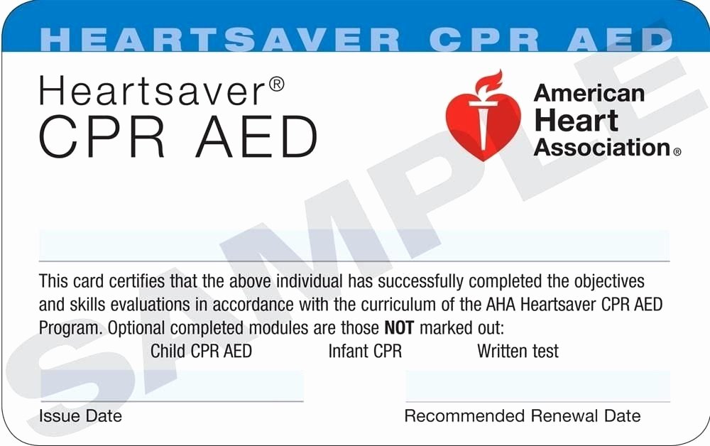 Cpr Card Template Word Beautiful Cpr Card Template Pdf ﻿the Cheapest Way to Earn Your Ah