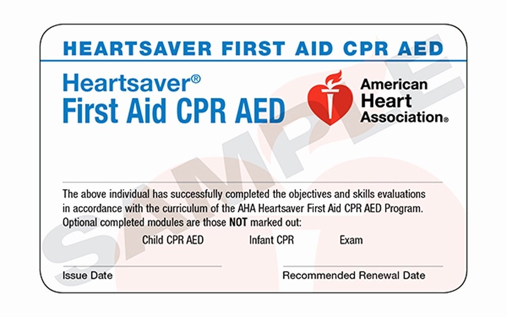 Cpr Card Template Word Inspirational American Heart association Cpr Card Template