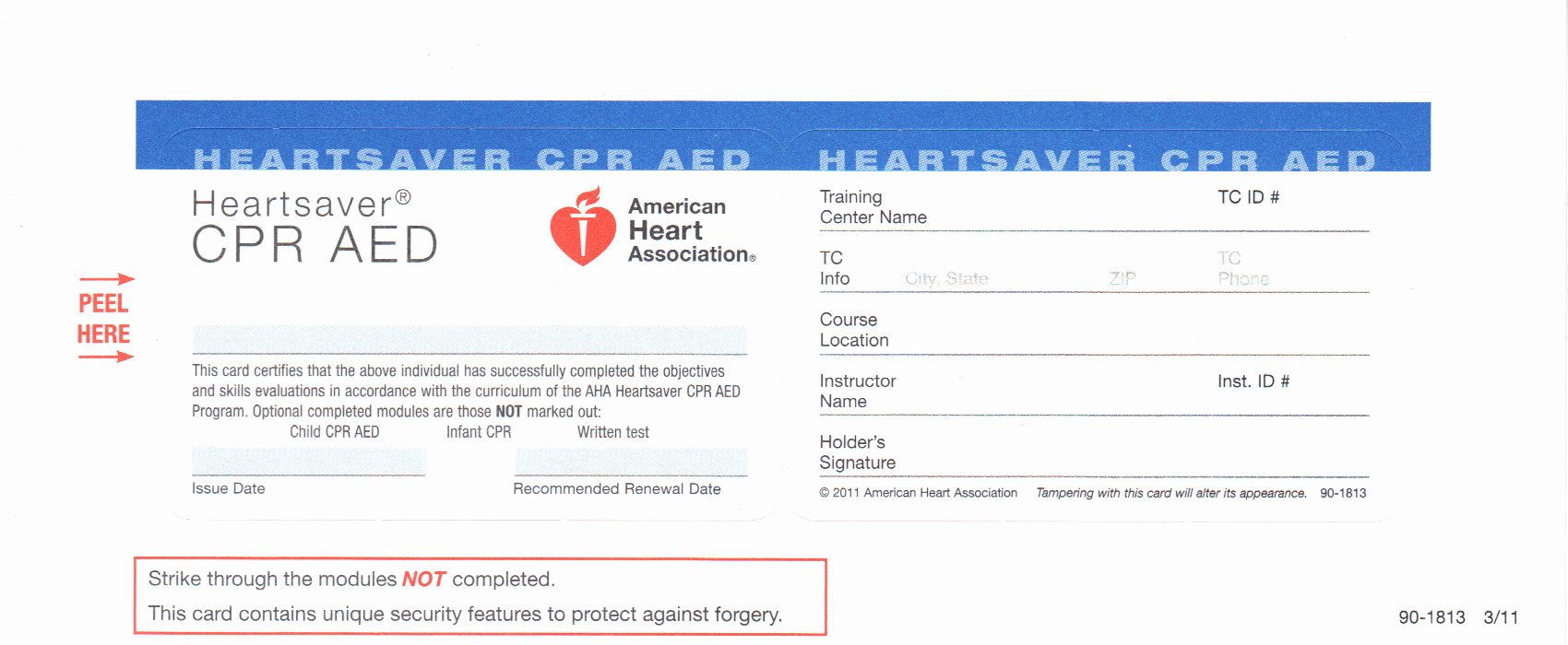 Cpr Card Template Word Inspirational Cpr Safety Training Basic Life Support for Healthcare