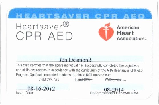 Cpr Card Template Word Lovely Certifications