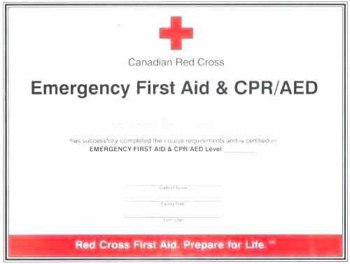 Cpr Card Template Word New First Aid Certificate Template First Aid Brochure Template