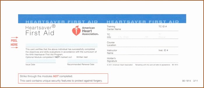 Cpr Card Template Word New Ment Card Template Template 1 Resume Examples