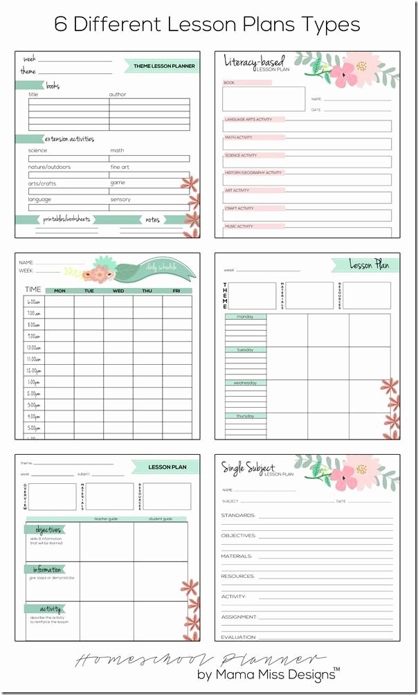 Daily Lesson Plan Template Word Inspirational Best Homeschool Planner Get Ahead by Planning