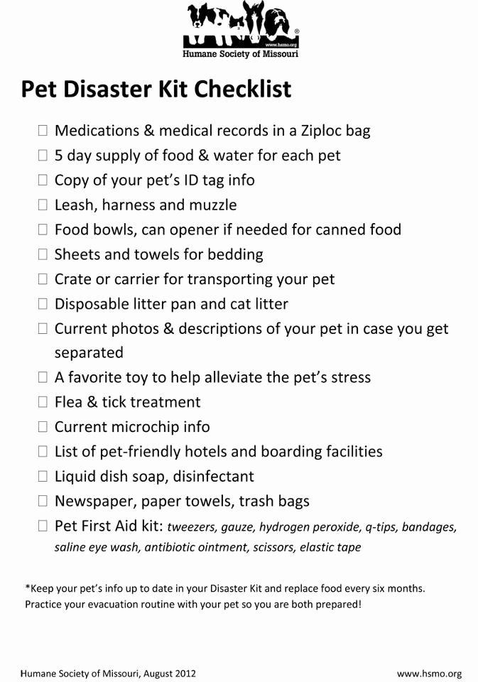 Daycare Emergency Preparedness Plan Template Unique 25 Best Ideas About Evacuation Plan On Pinterest